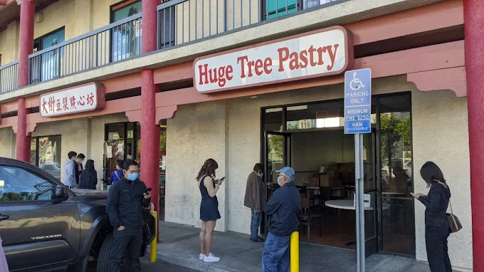 Huge Tree Pastry
